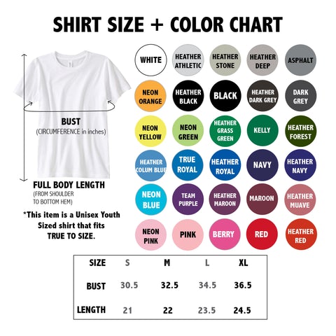 Brick Schools: Raising Brains Era Youth Tee