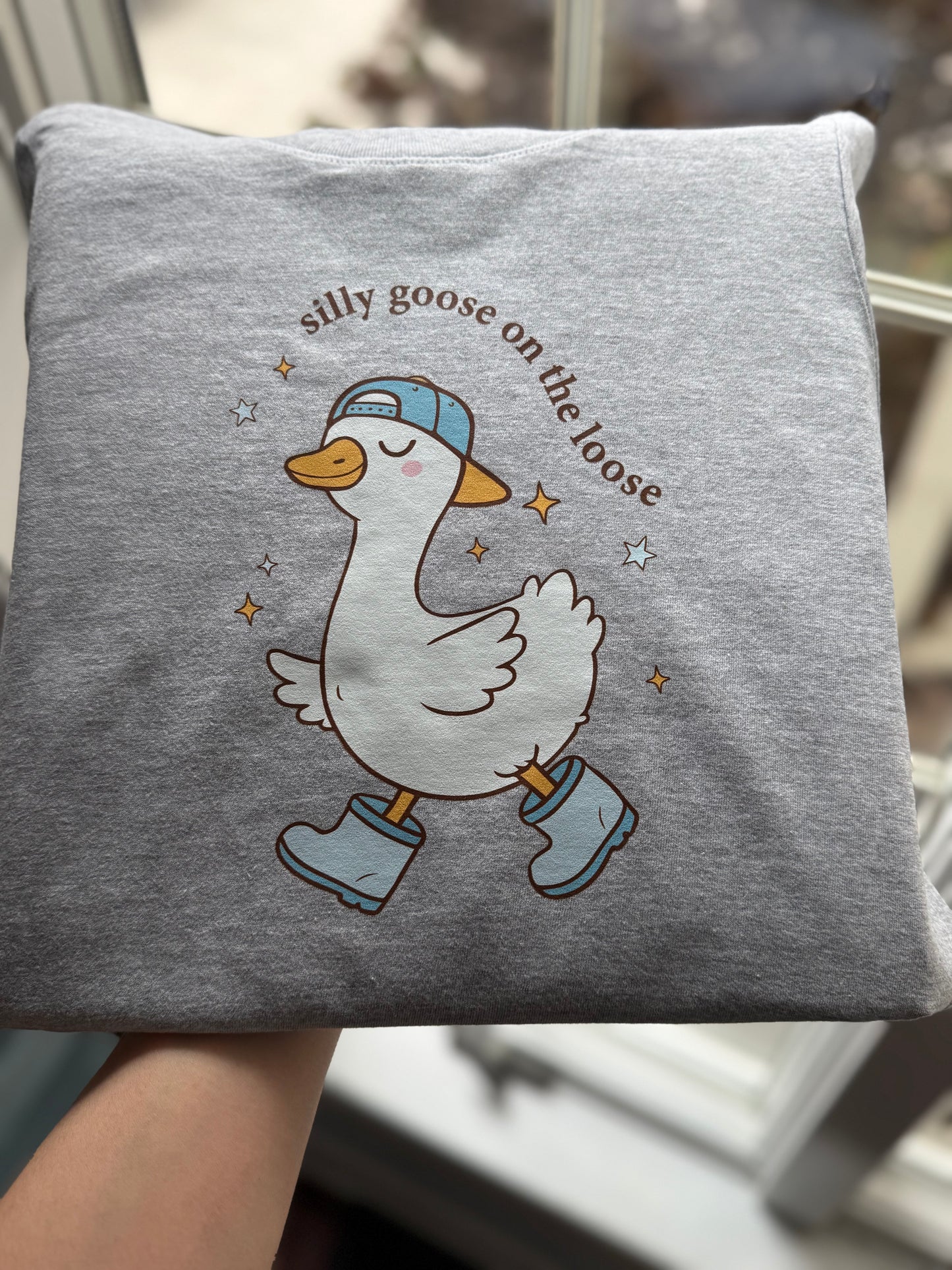 Boy Silly Goose Kid's Tee