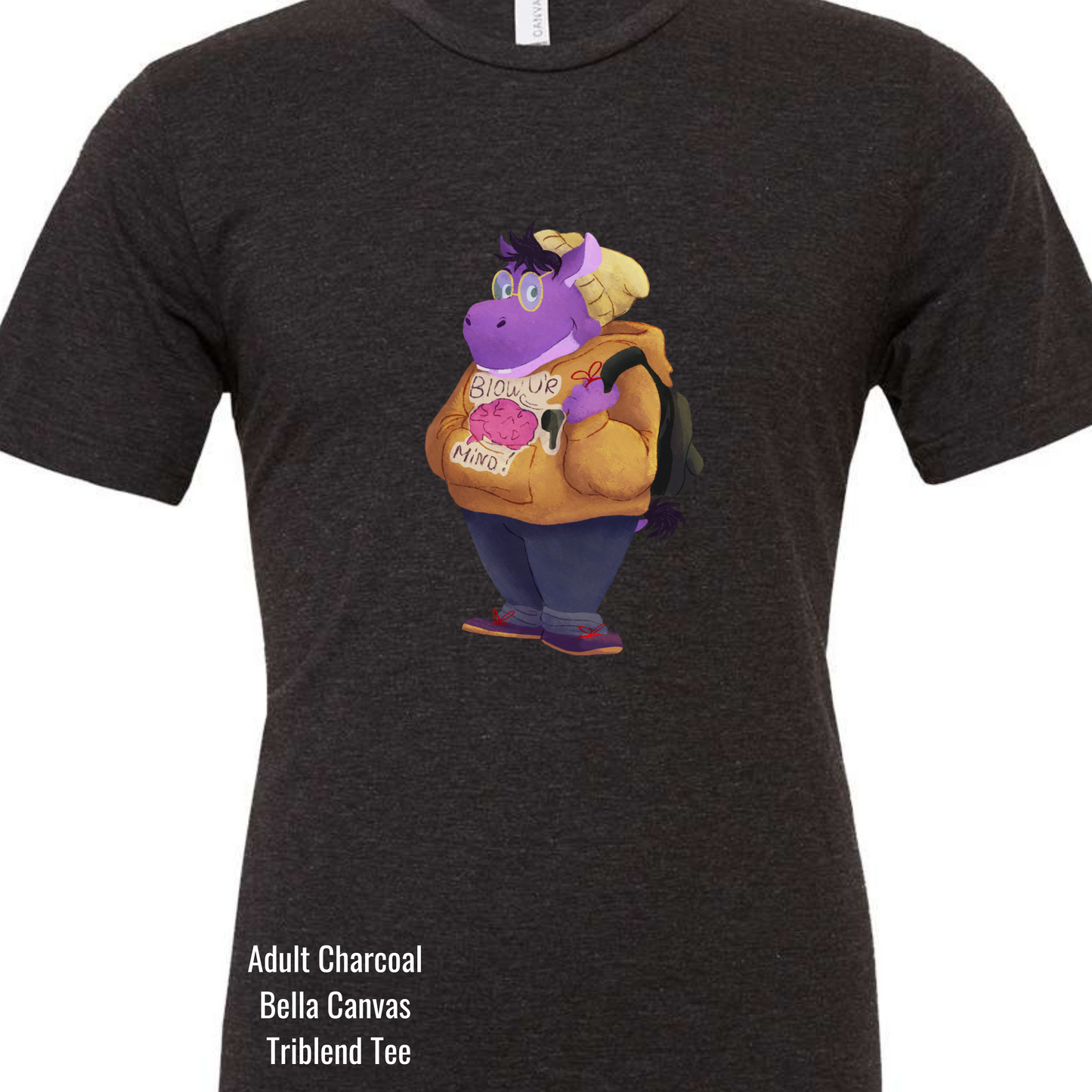 Brick Schools: Character Adult Tee